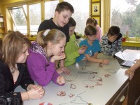 /album/fotogaleria/dscf1482-jpg/